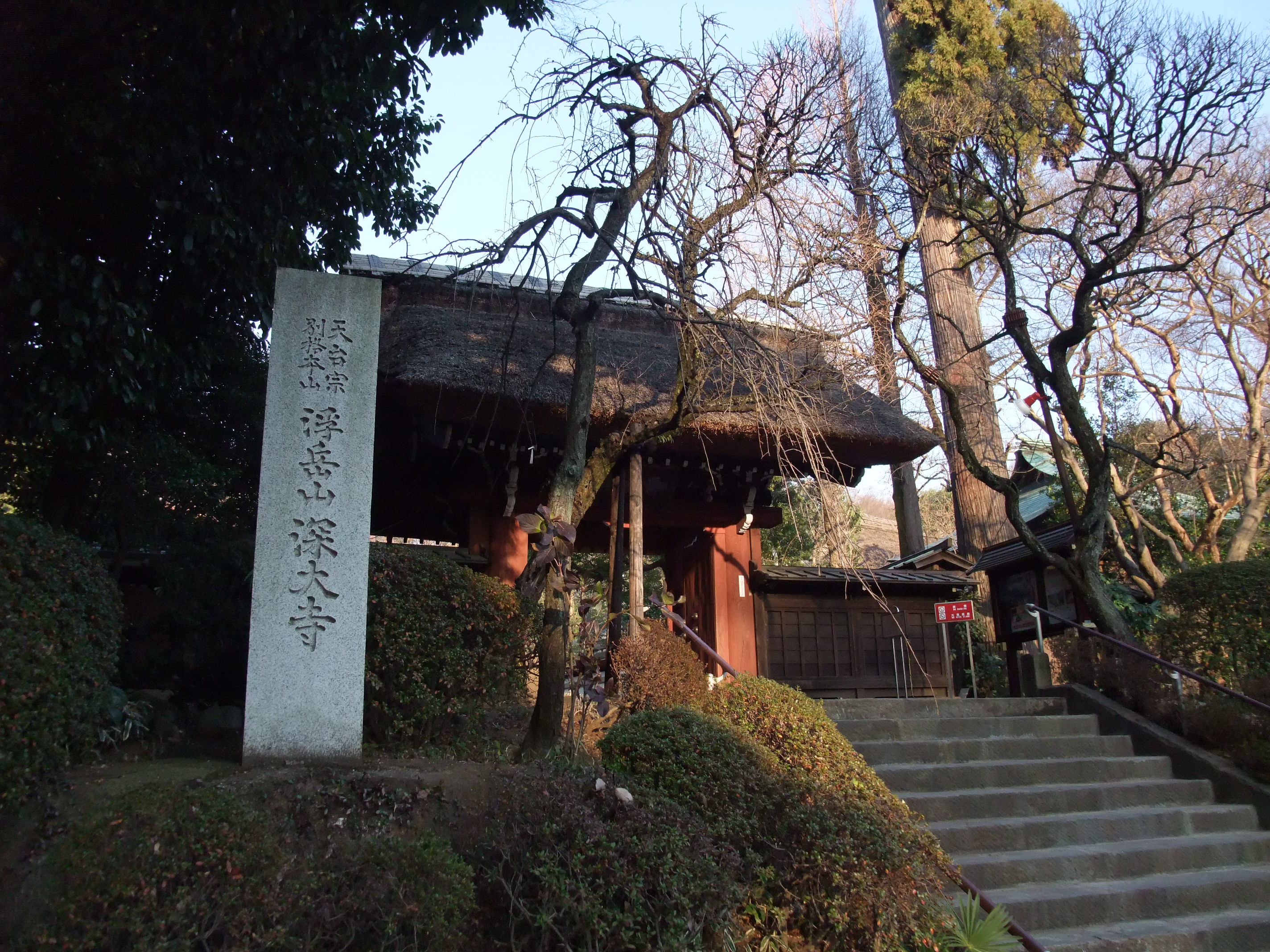 2008_1224jindaiji0210.JPG