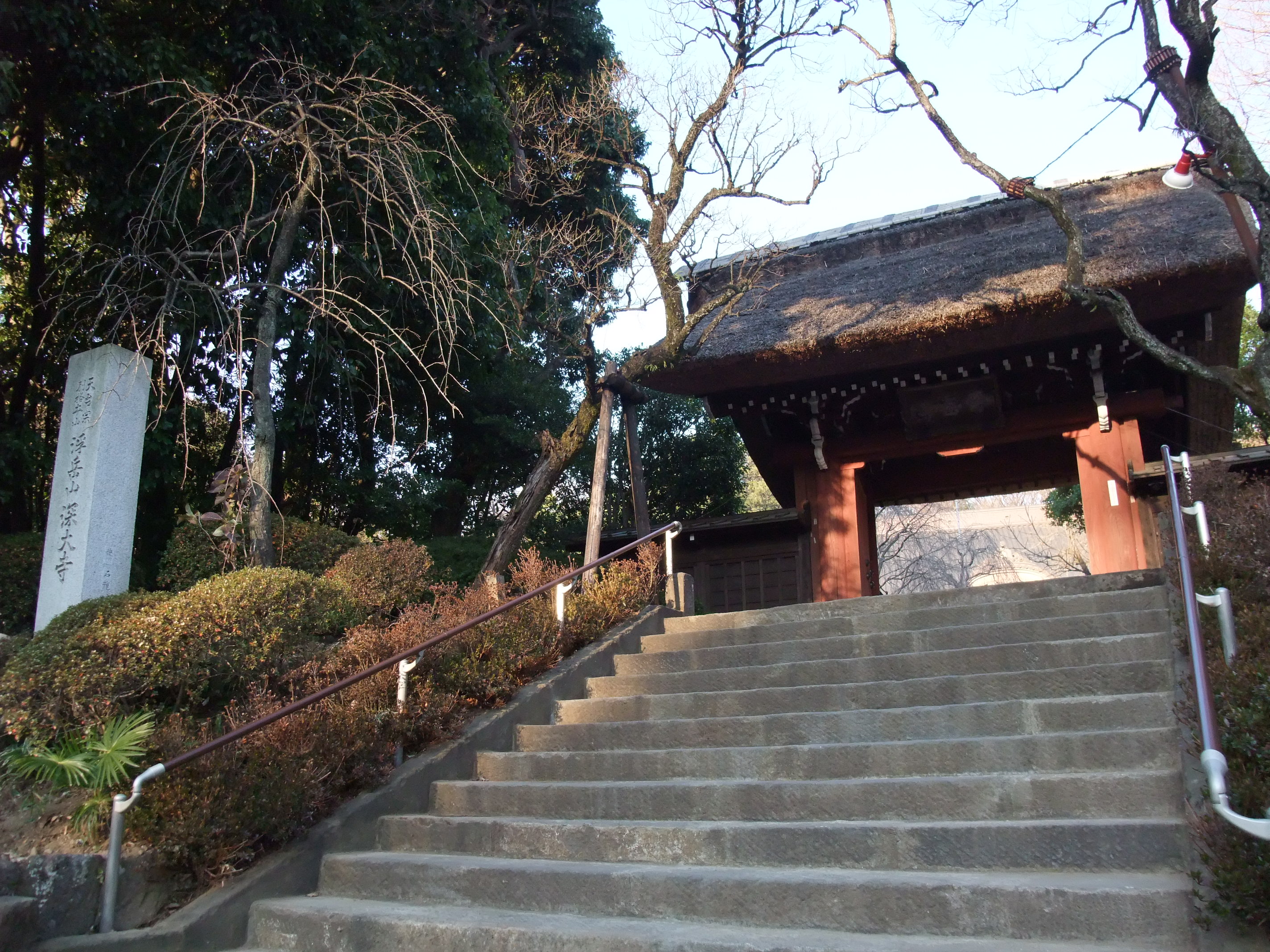 2008_1224jindaiji0211.JPG