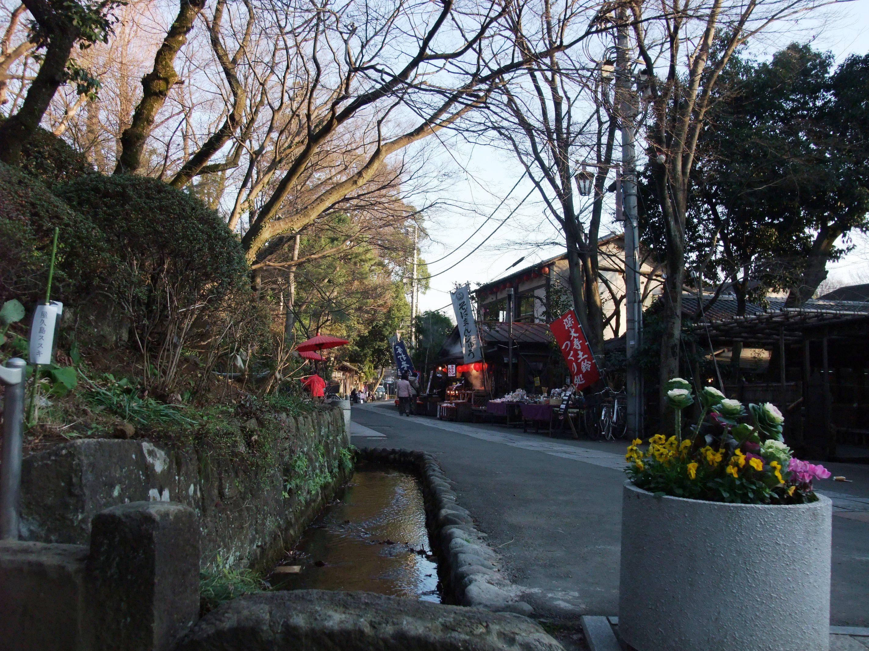 2008_1224jindaiji0213.JPG