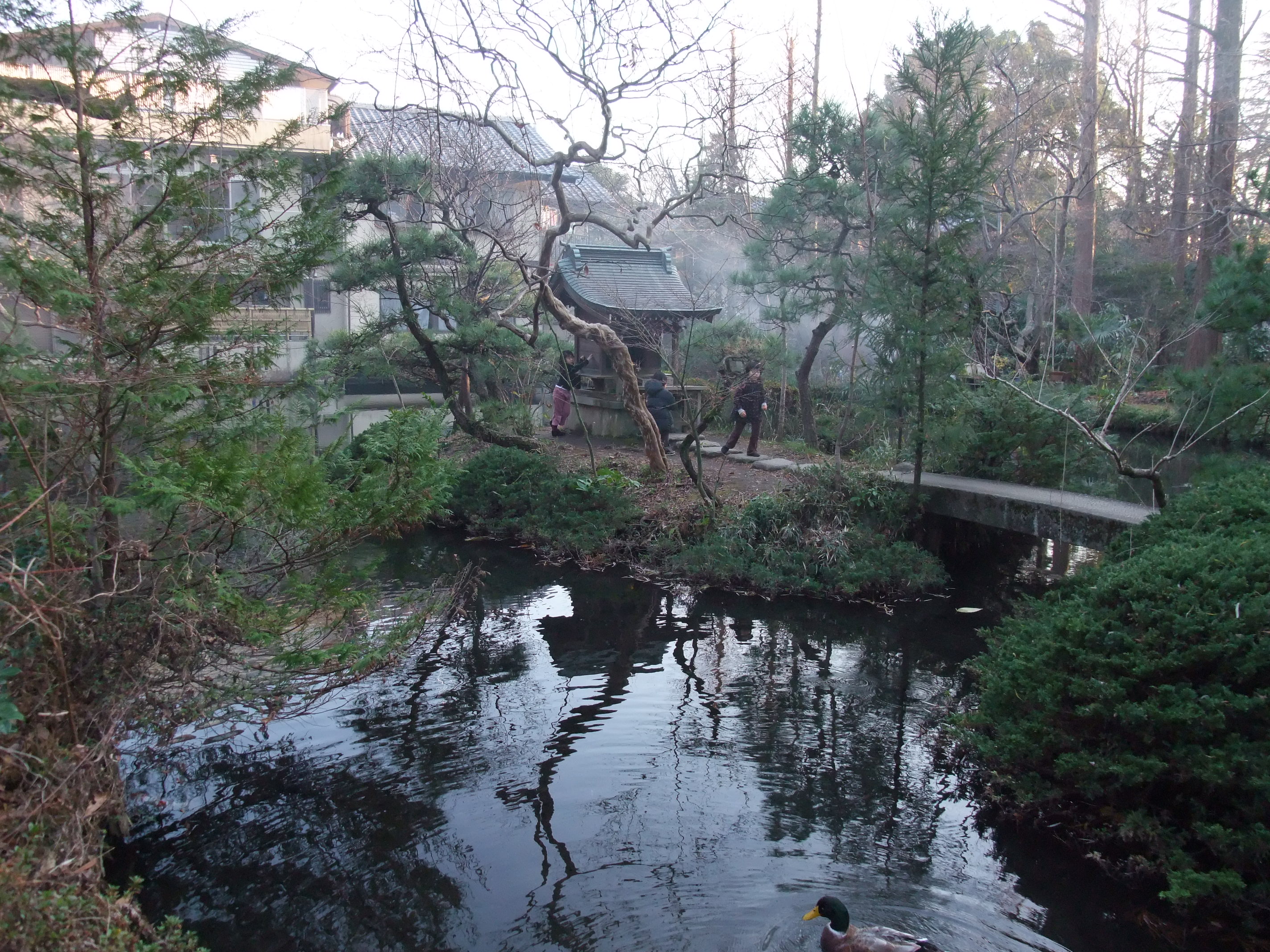 2008_1224jindaiji0217.JPG