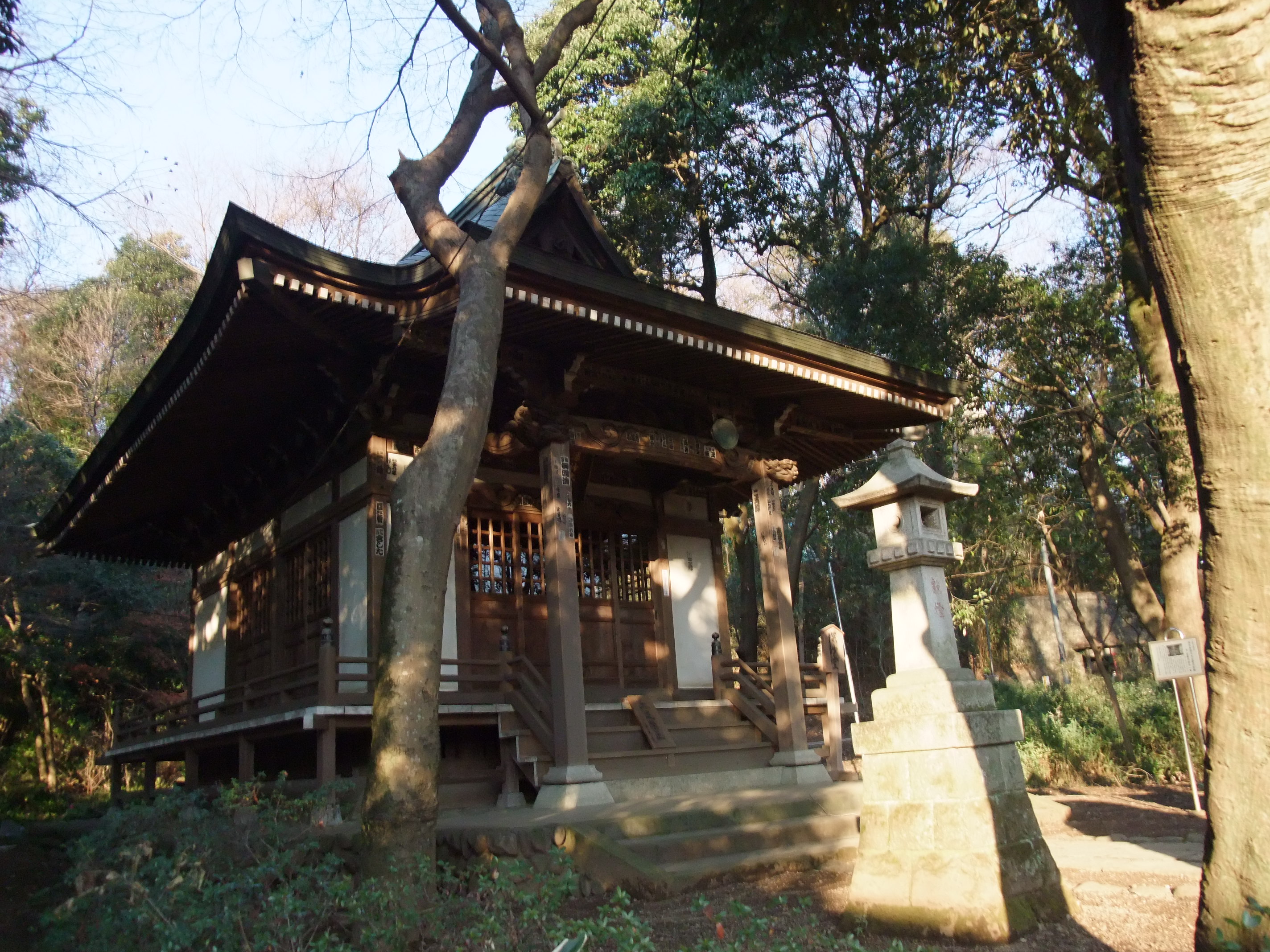 2008_1224jindaiji0220.JPG