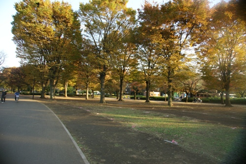 DSC01952.JPG